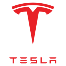 T-shirt Tesla-78